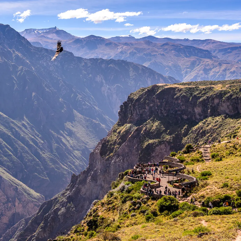 colca-canyon-arequipa-destination