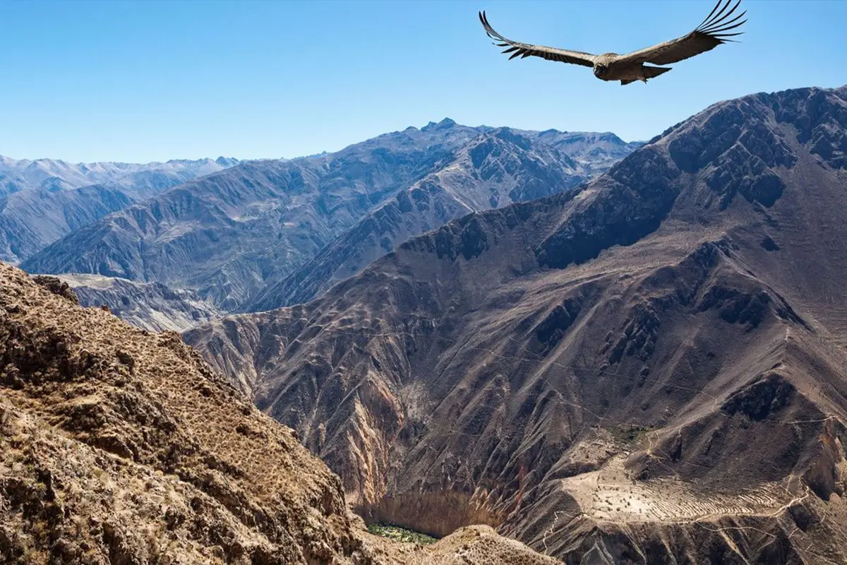 colca-canyon-tour