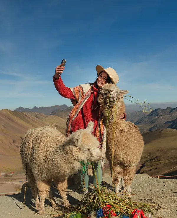 travel tourist llamas cusco